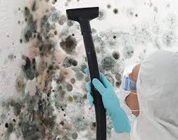 Best Black Mold Removal  in Palisade, CO